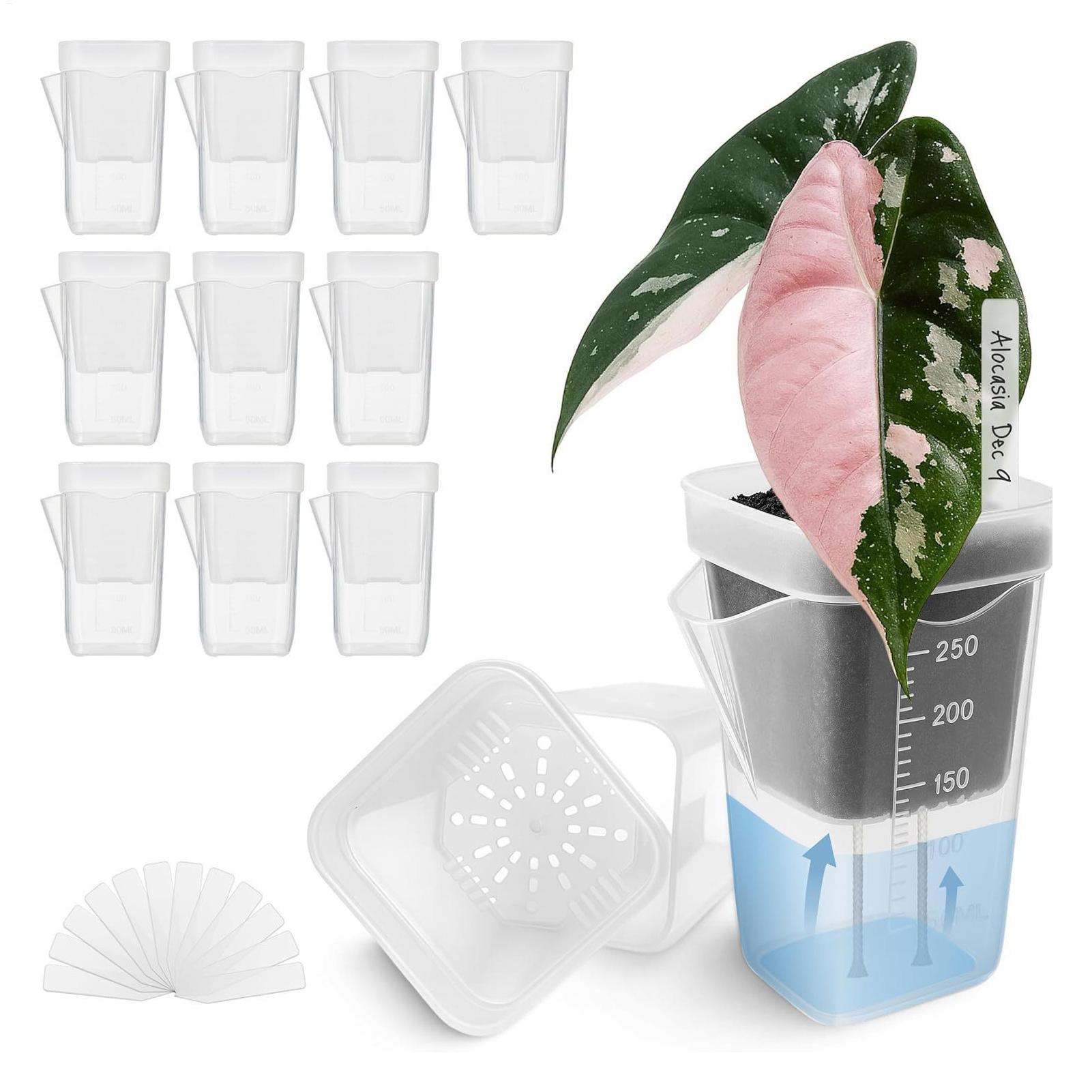 Hydroponic Grow Pod - 10 Macetas Transparentes con Autorriego para