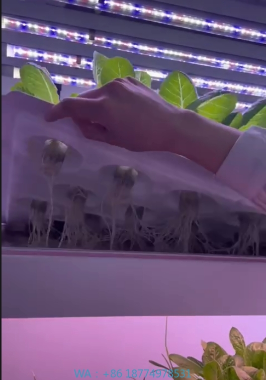 Hydroponic Tower - f Equipo agrícola de invernadero para