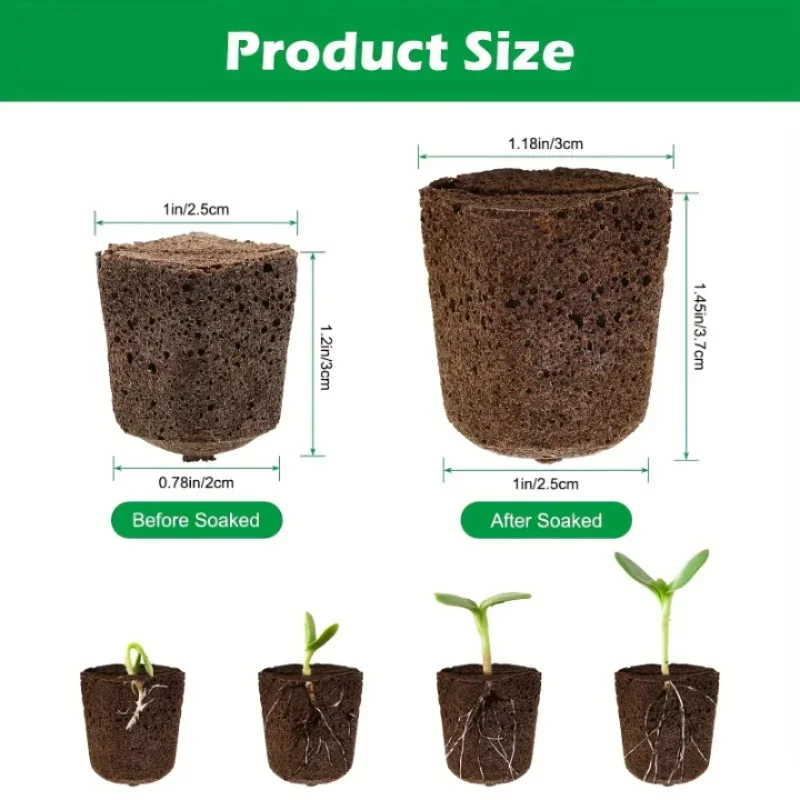 Indoor Garden Kit - Kit de Esponjas para Germinación de