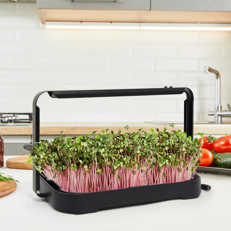 Indoor Garden Kit - Bandeja Hidropónica para Interiores, Sistema de