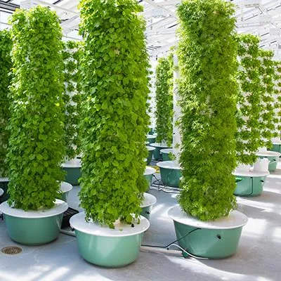 Sistemas de Jardín en Torres A - Hydroponic Tower reseña y precio