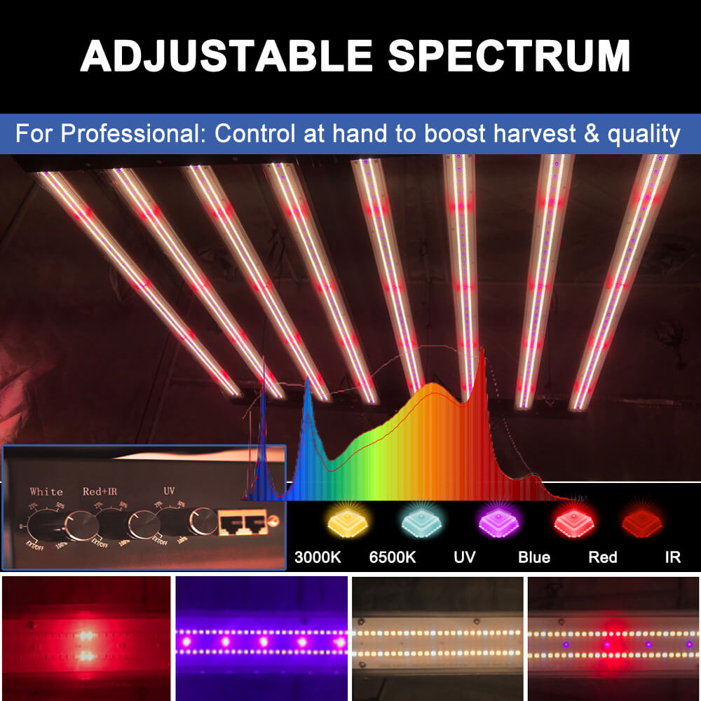 Luces LED de Cultivo PPFD 2800 - Grow Light Led reseña y precio