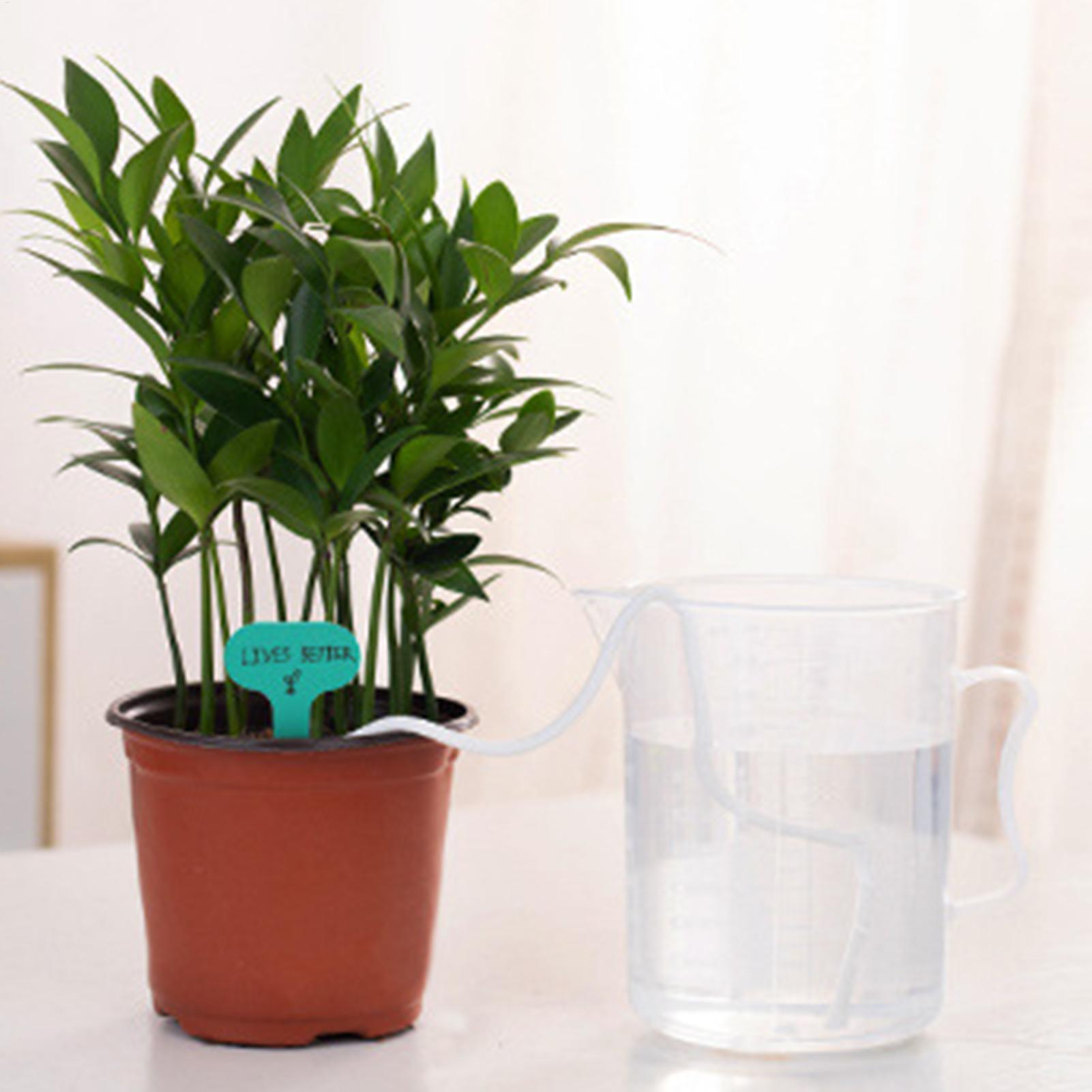 Cuerdas de riego automático pa - Self Watering Planter reseña y precio