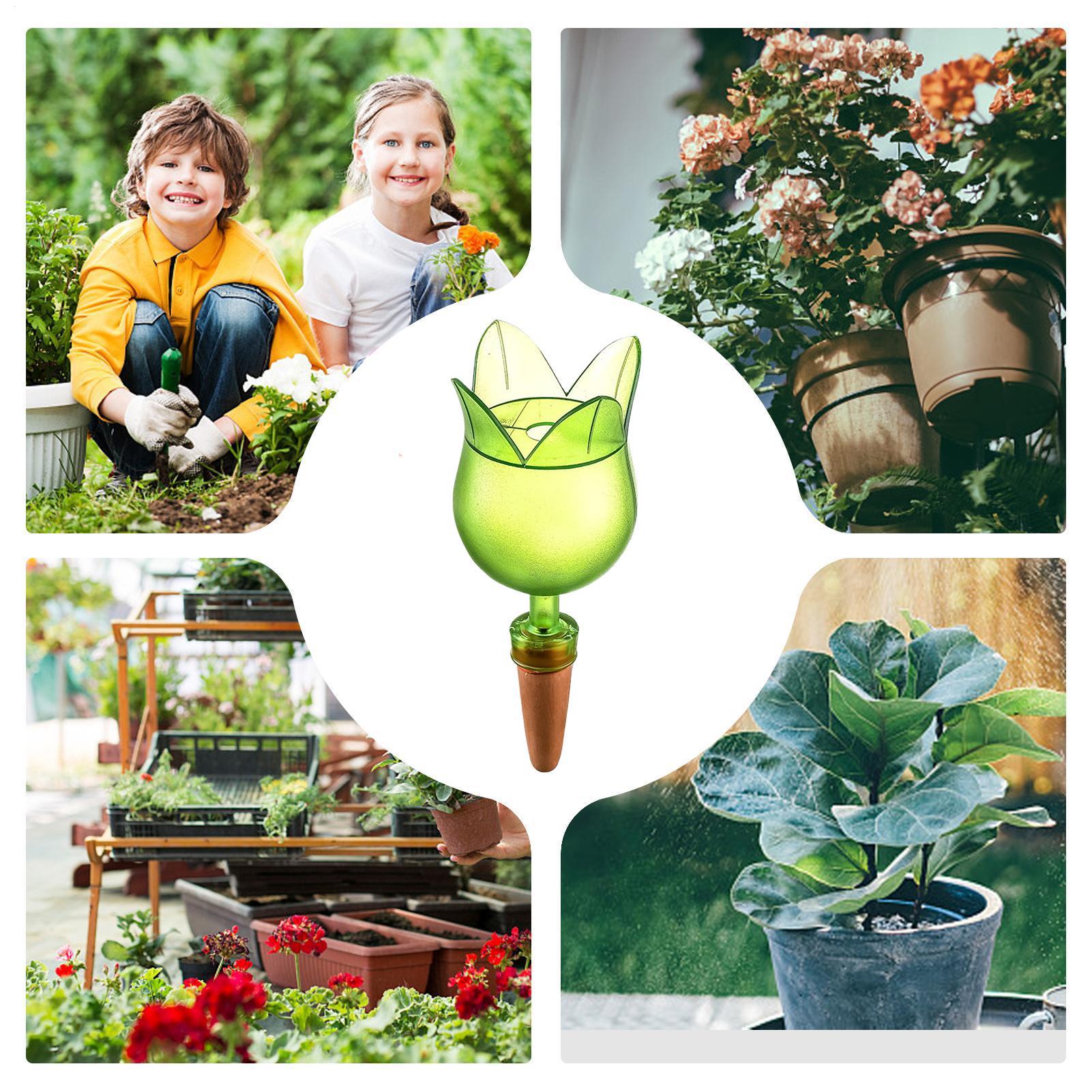 Dispositivos de autorriego par - Self Watering Planter reseña y precio