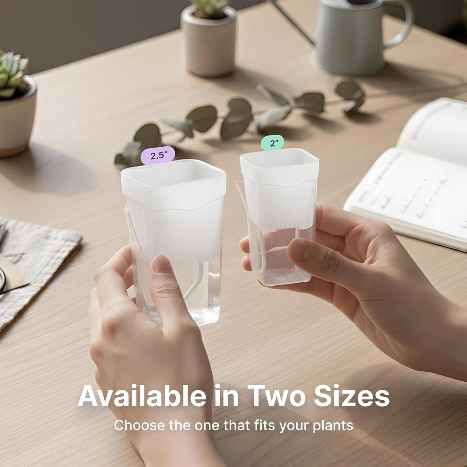 10 Macetas Transparentes con A - Hydroponic Grow Pod reseña y precio