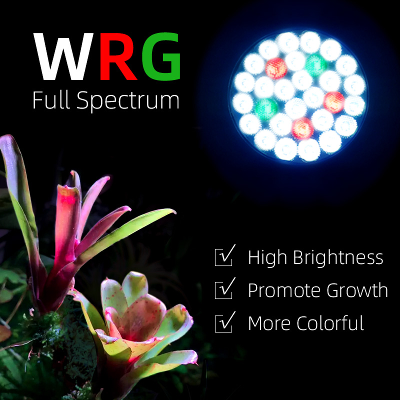 Bombilla de cultivo de acuario - Grow Light Led reseña y precio