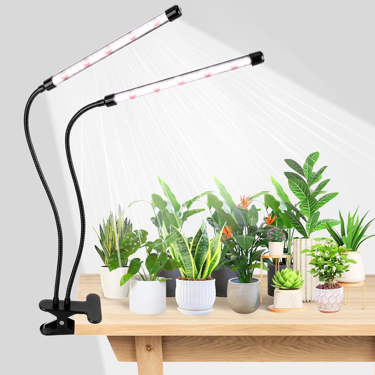 KEBINCPLED Lámpara LED de crec - Hydroponic Grow Pod reseña y precio