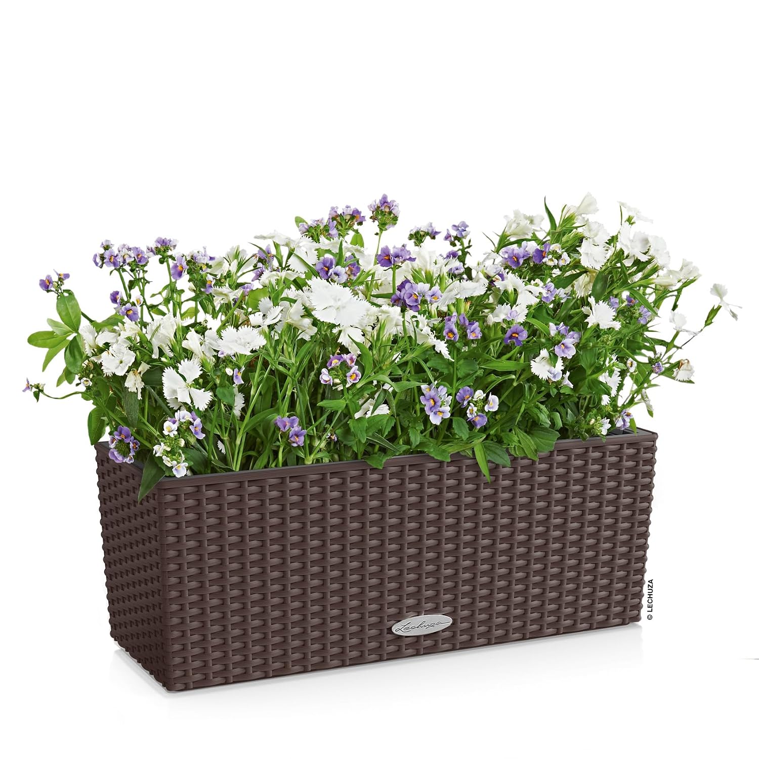 Jardinera de ventana con siste - Self Watering Planter reseña y precio