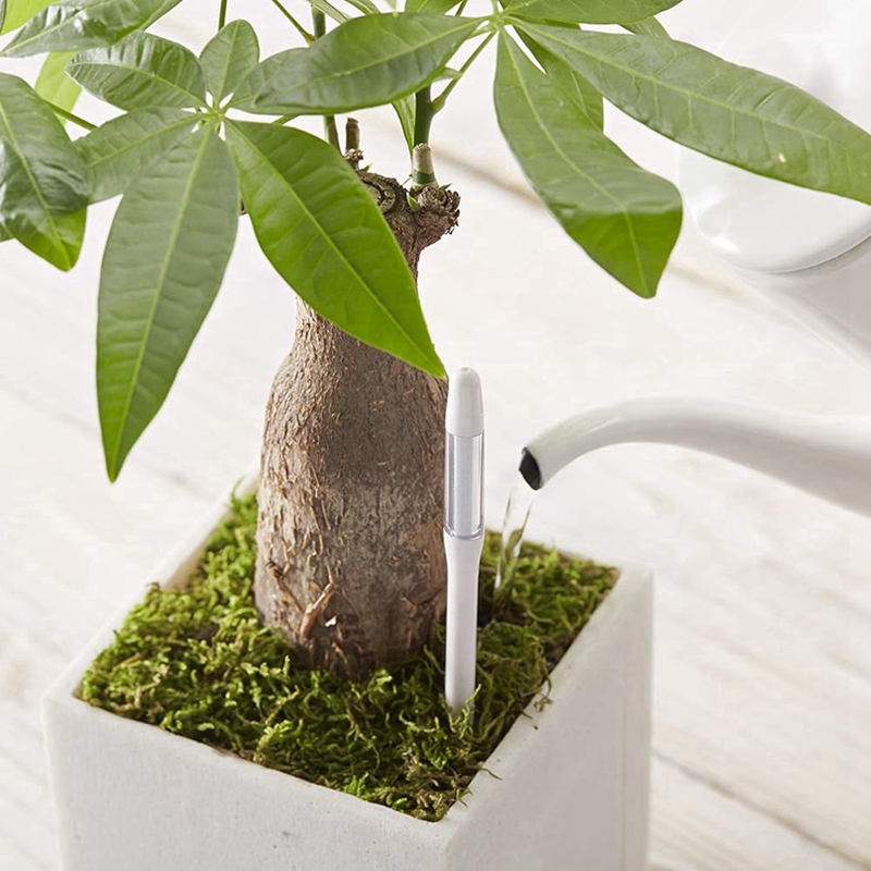 Aquameter, 5 piezas, Sensor de - Plant Sensor reseña y precio