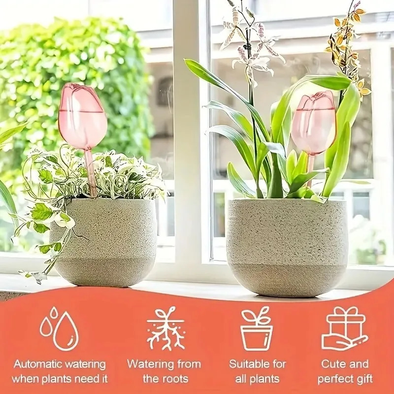 Bolas de riego de plantas de t - Automatic Watering reseña y precio
