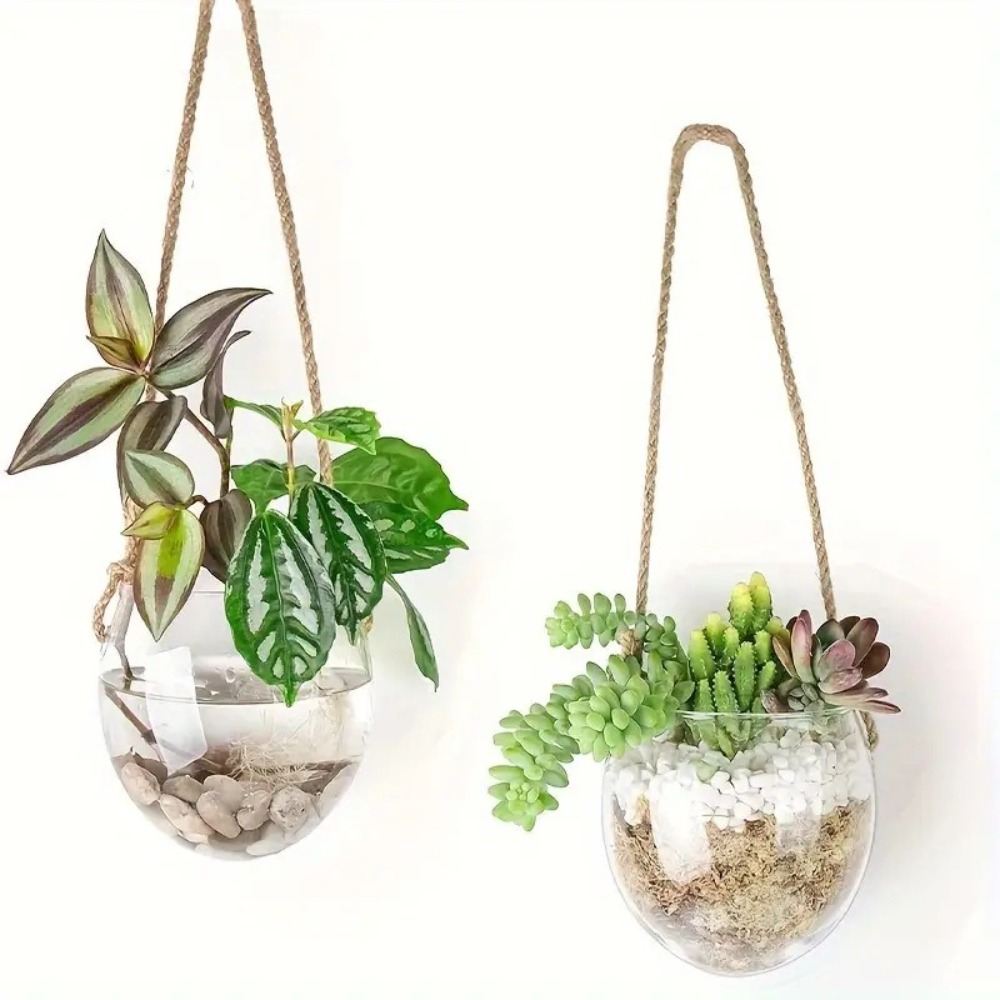 Jarrón Colgante Hidropónico Tr - Hydroponic Grow Pod reseña y precio