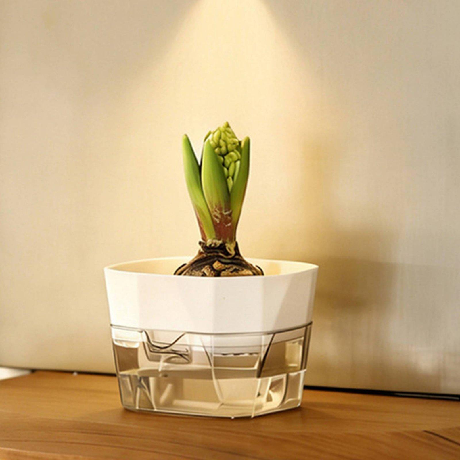 Jarrón Hidropónico de Dos Capa - Self Watering Planter reseña y precio