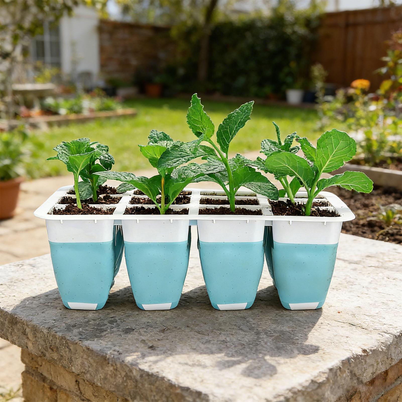 Paquete de 5 Bandejas de Silic - Indoor Garden Kit reseña y precio