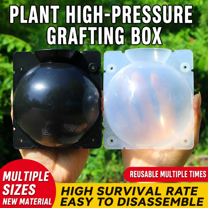 Kit de propagación de plantas  - Indoor Garden Kit reseña y precio