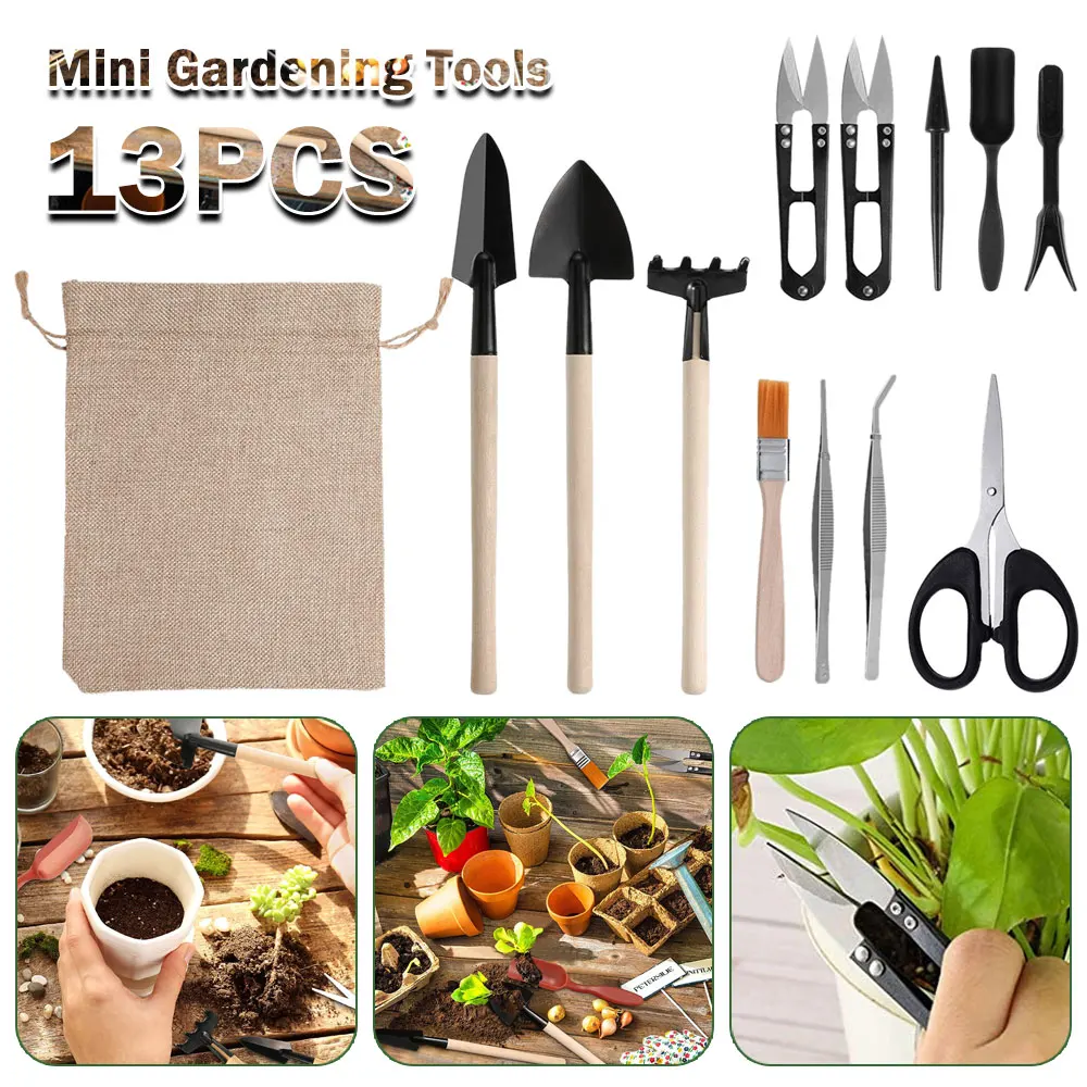 Juego de Herramientas para pla - Indoor Garden Kit reseña y precio