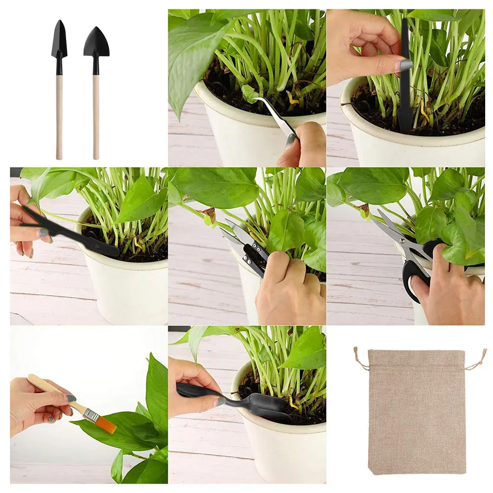 Juego de Herramientas para pla - Indoor Garden Kit reseña y precio