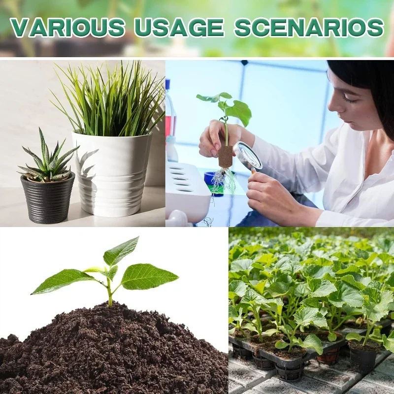 Kit de Esponjas para Germinaci - Indoor Garden Kit reseña y precio