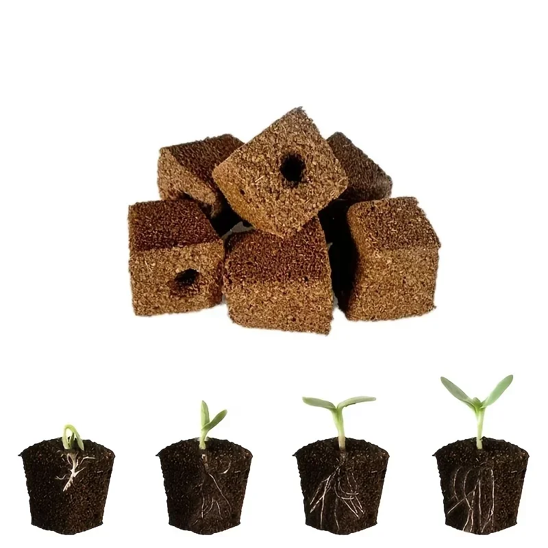 Kit de Esponjas para Germinaci - Indoor Garden Kit reseña y precio