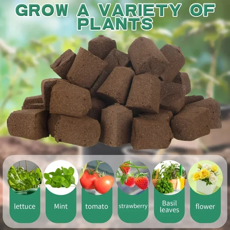 Kit de Esponjas para Germinaci - Indoor Garden Kit reseña y precio