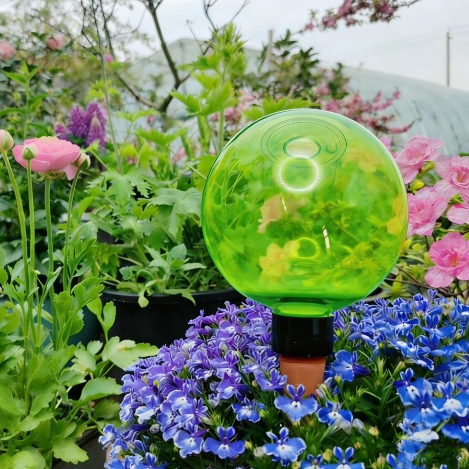 3 Globos de Riego Automático p - Self Watering Planter reseña y precio