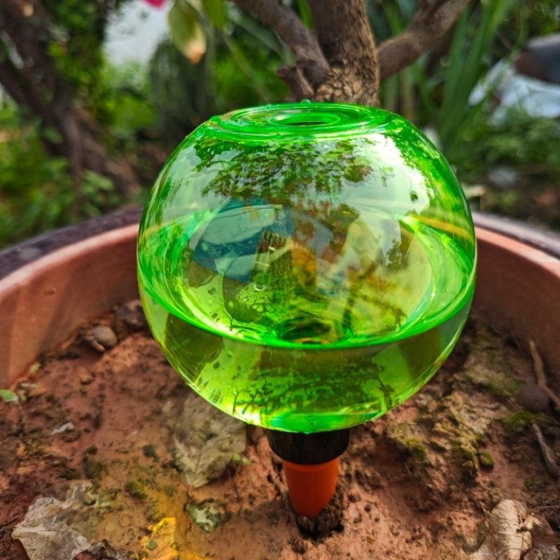 3 Globos de Riego Automático p - Self Watering Planter reseña y precio