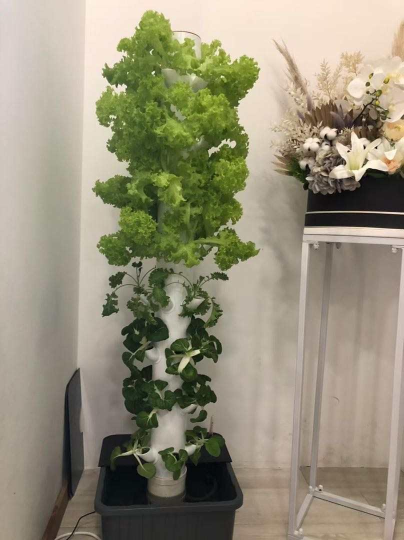 Torre de Cultivo Hidropónico V - Hydroponic Tower reseña y precio