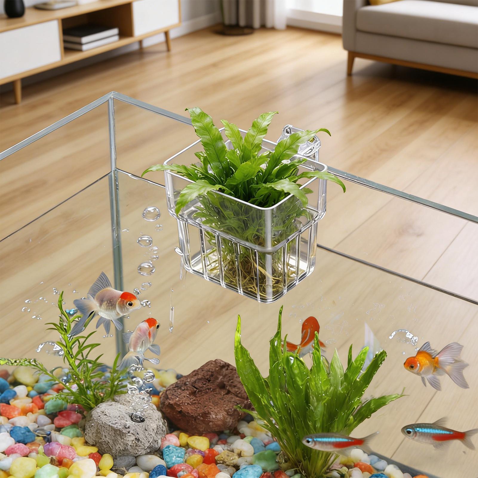 Soporte Transparente para Plan - Hydroponic Grow Pod reseña y precio