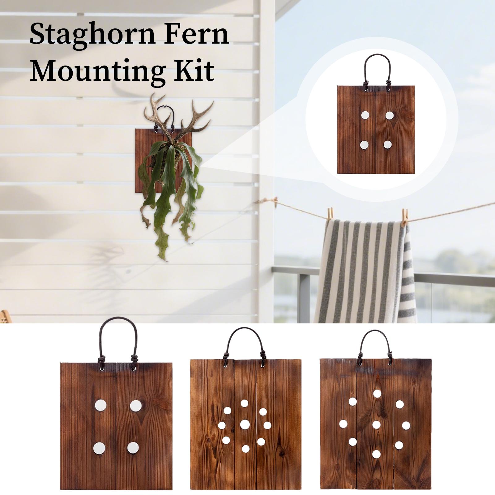 Kit de Macetero de Madera para - Indoor Garden Kit reseña y precio