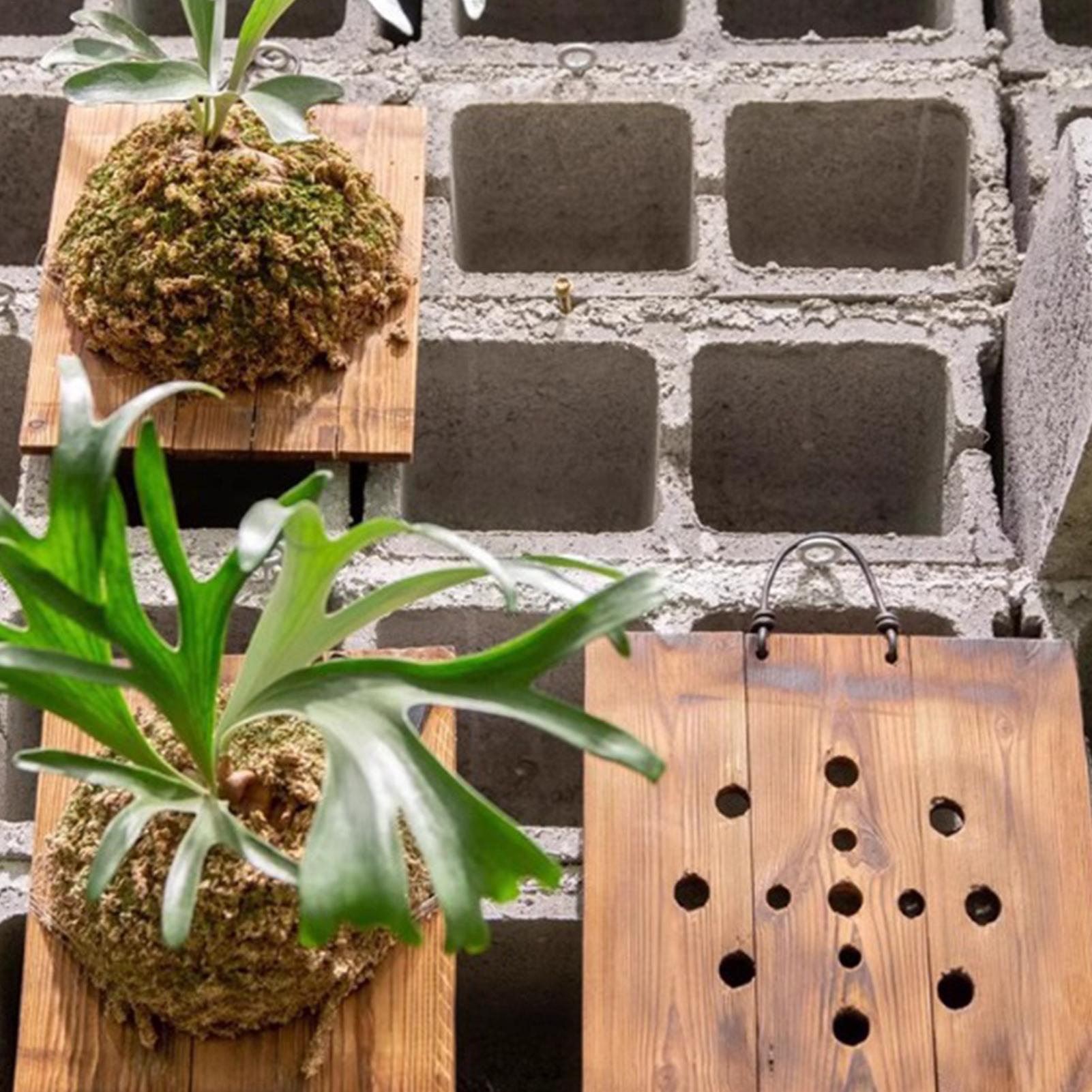 Kit de Macetero de Madera para - Indoor Garden Kit reseña y precio