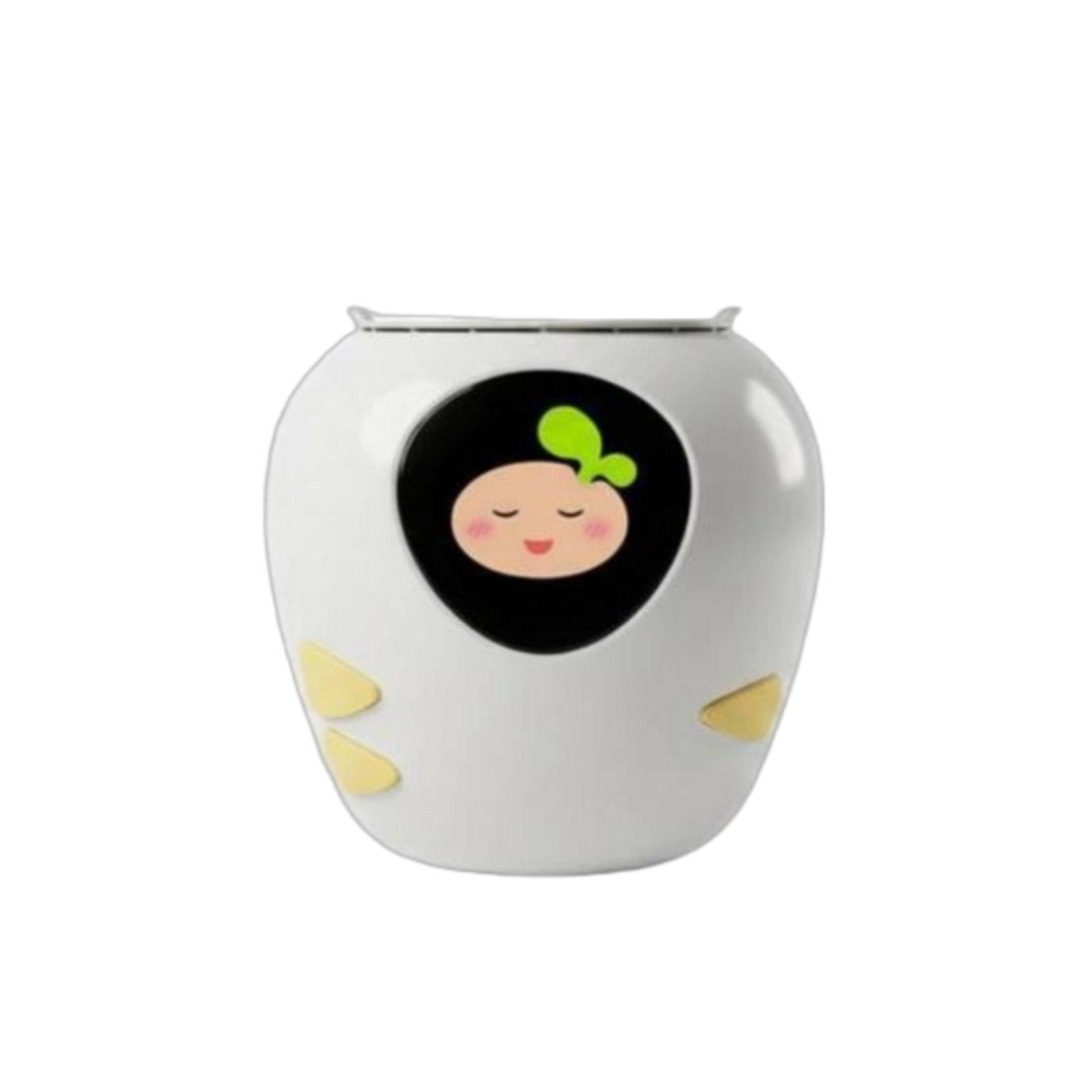 Maceta Inteligente con Función - Automatic Watering reseña y precio